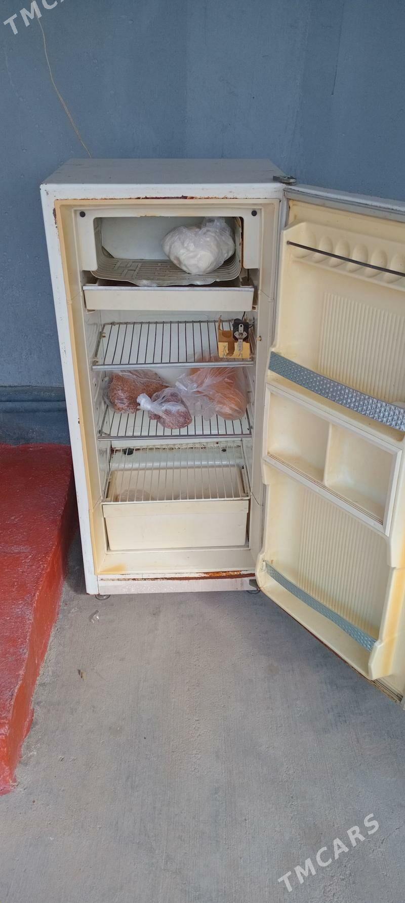 holodinik - Гарадамак - img 1