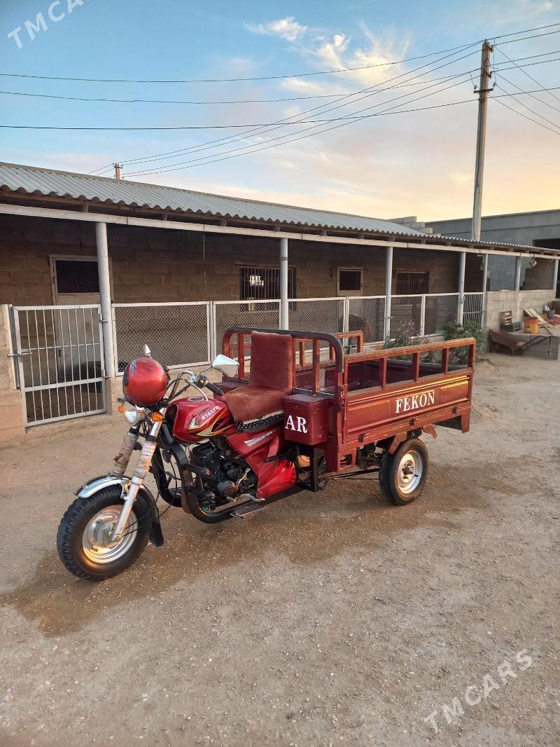 Fekon FK200-14G 2011 - 17 000 TMT - Gumdag - img 1