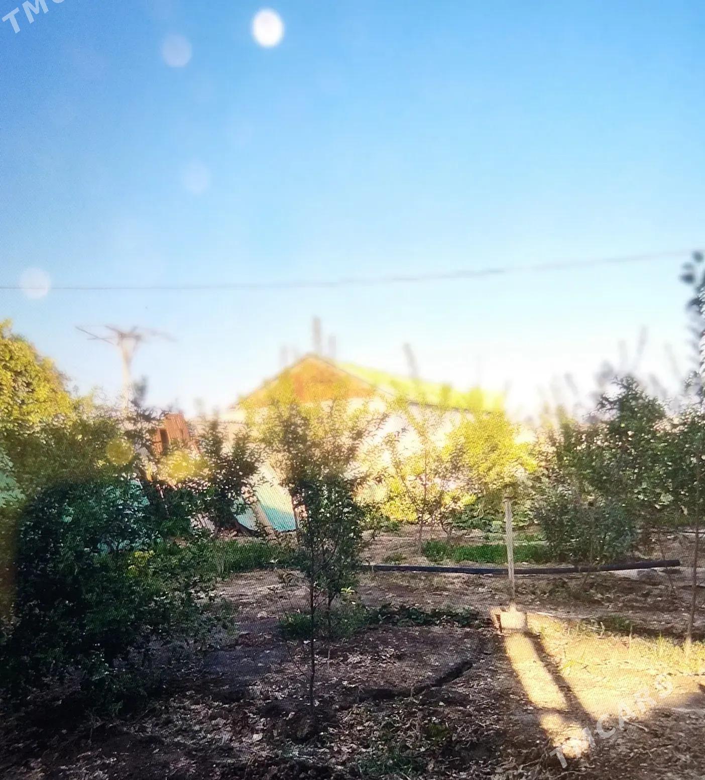 Карадамак - Гарадамак - img 1