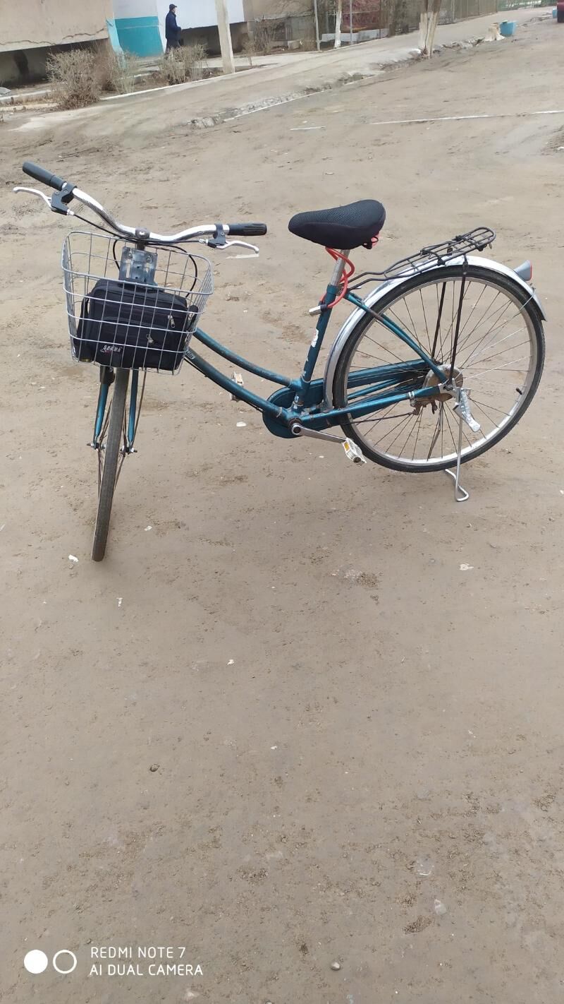 Yapoşka Tiğir - Daşoguz - img 1