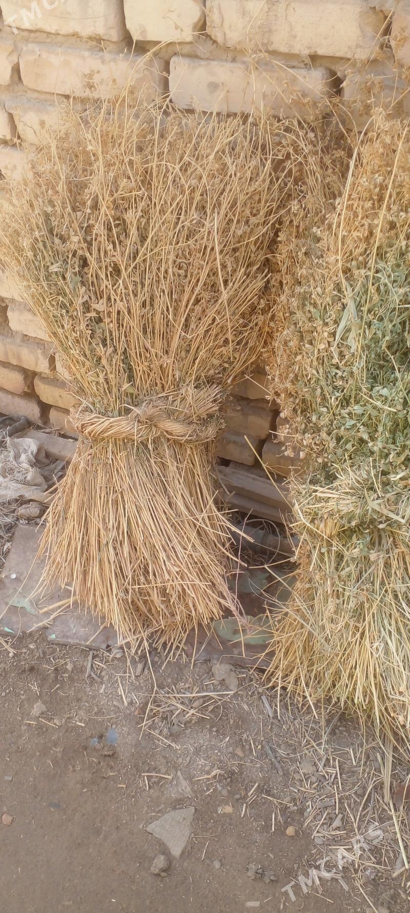 Йорунжа - Mary - img 1