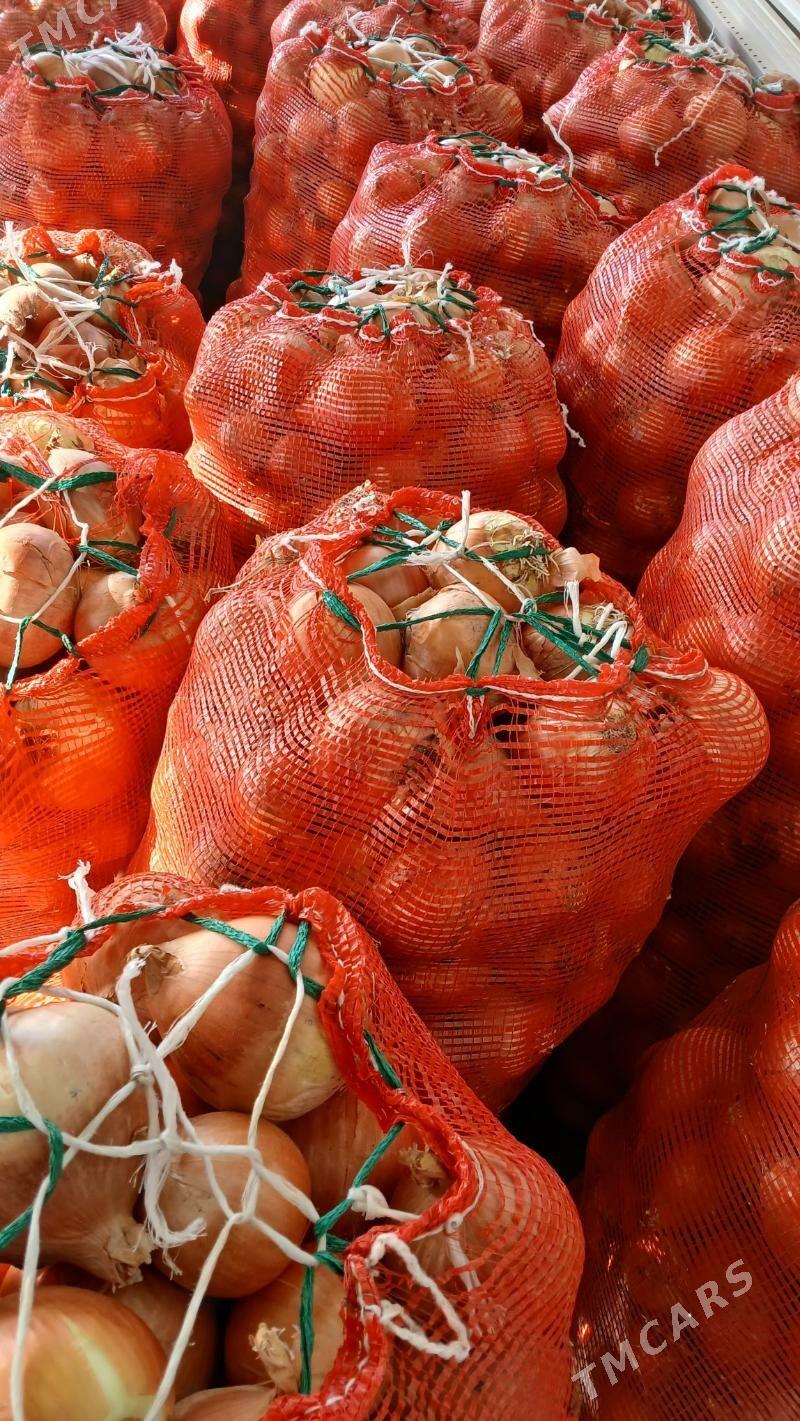 sogan - Büzmeýin - img 1