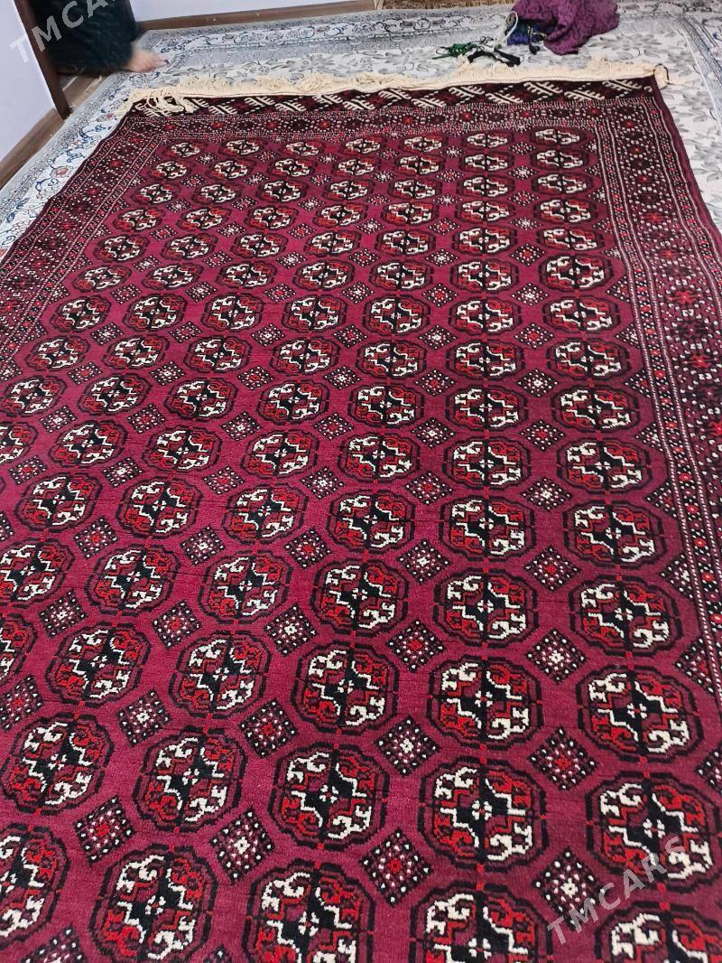 el haly gadym10luk - Balkanabat - img 1