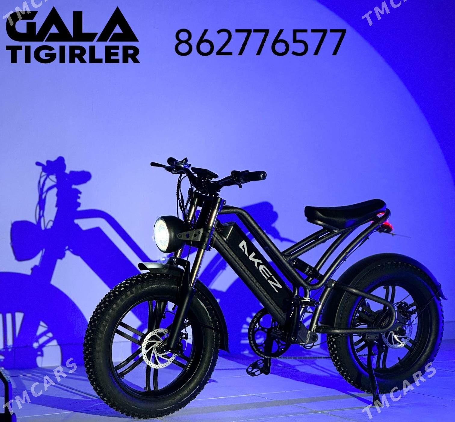 TOKLY TIGIR SAMAKAT MAGAZYN - Gurtly - img 1