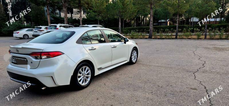 Toyota Corolla 2020 - 235 200 TMT - Balkanabat - img 1