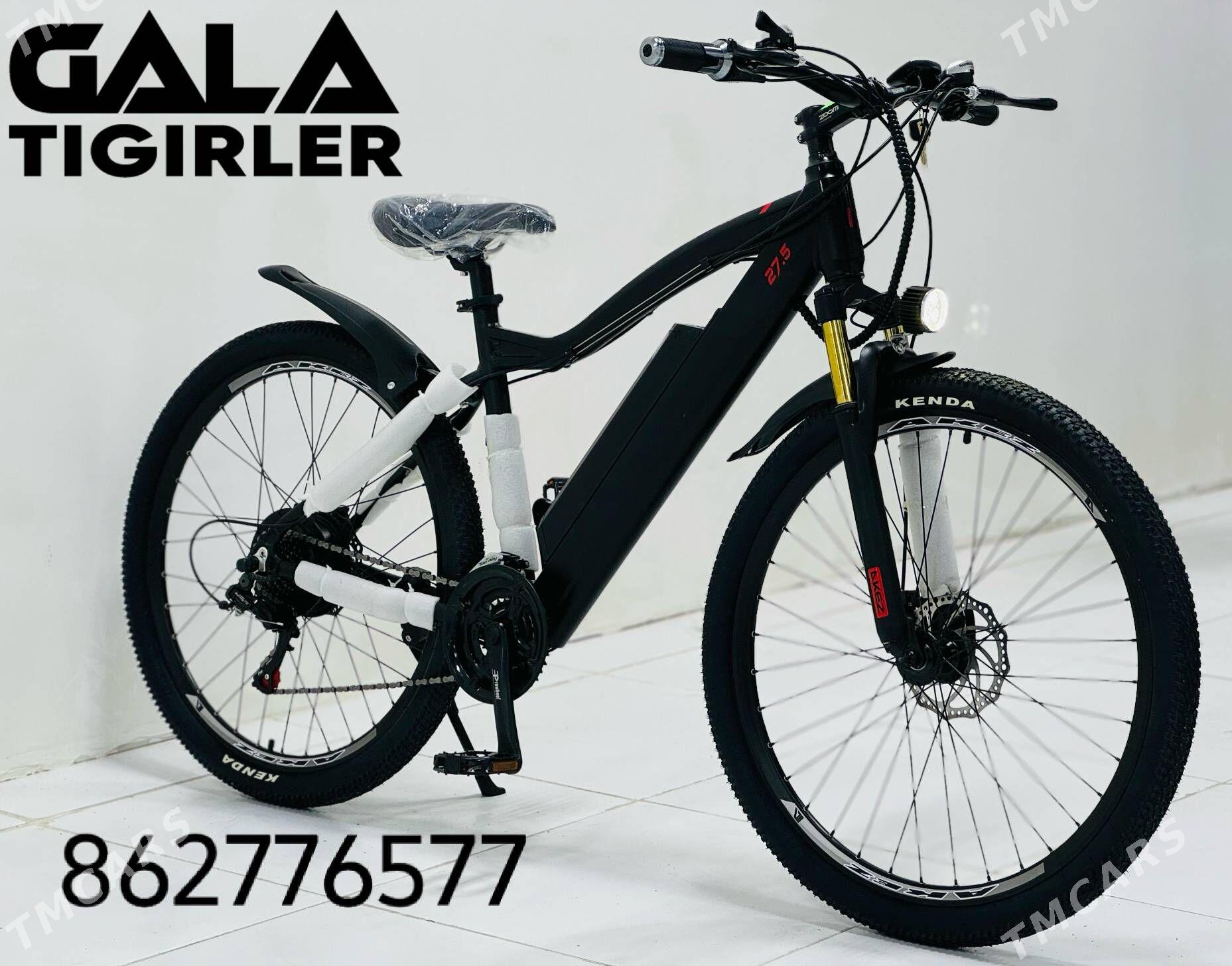 TOKLY TIGIR SAMAKAT MAGAZYN - Gurtly - img 1