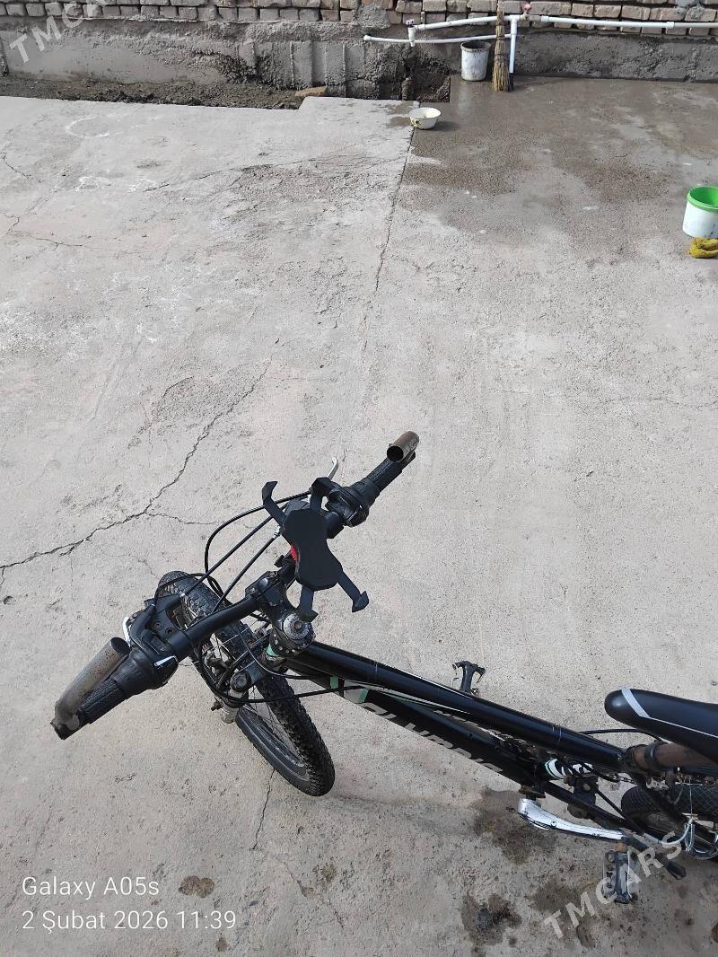 olimpia - Теджен - img 1