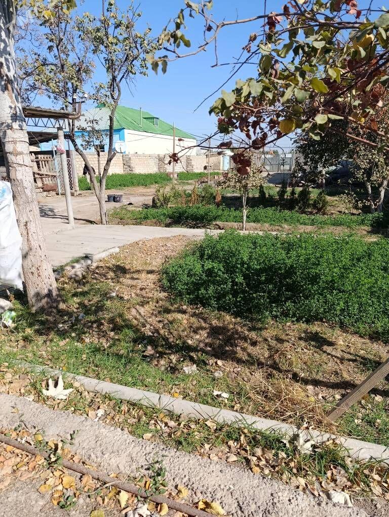 yermelek - Ашхабад - img 1