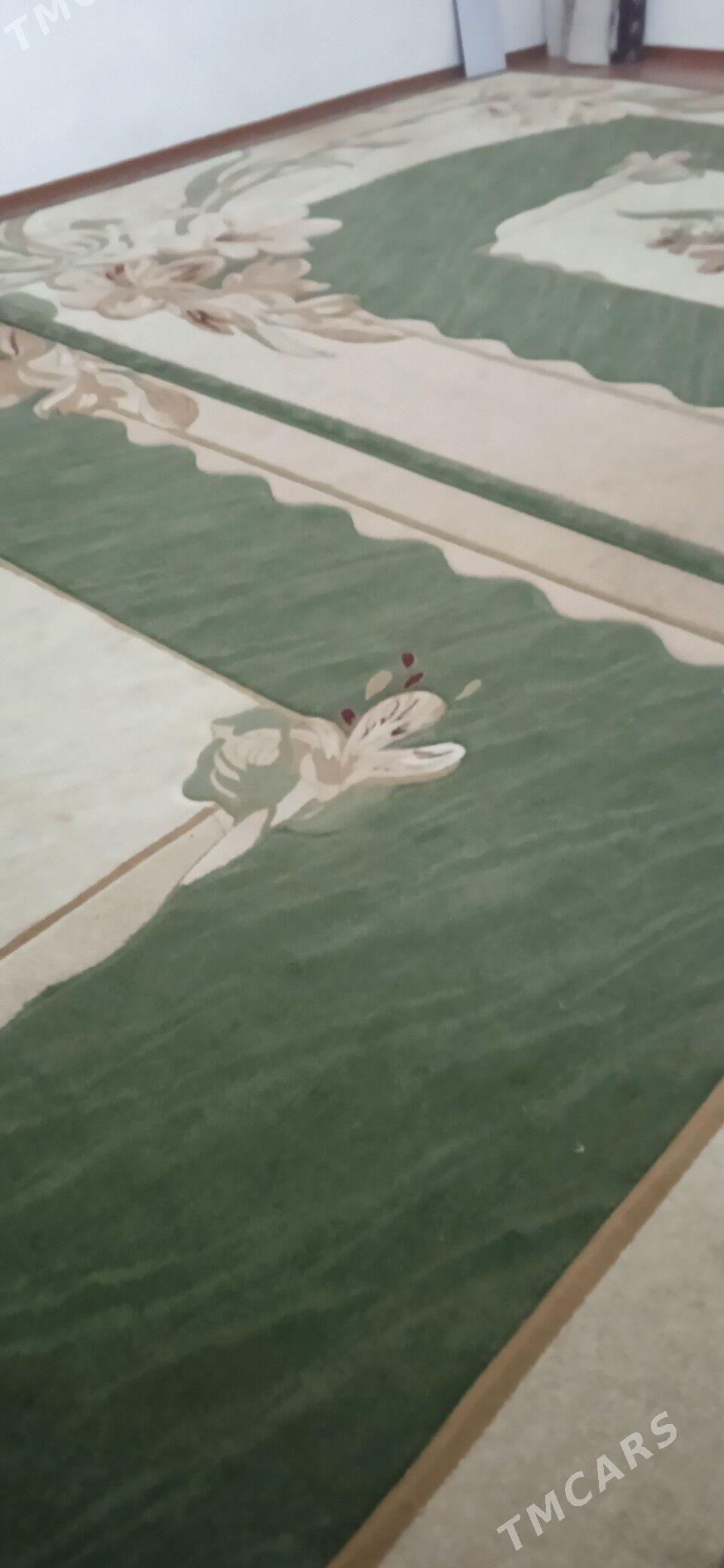 haly - Хитровка - img 1