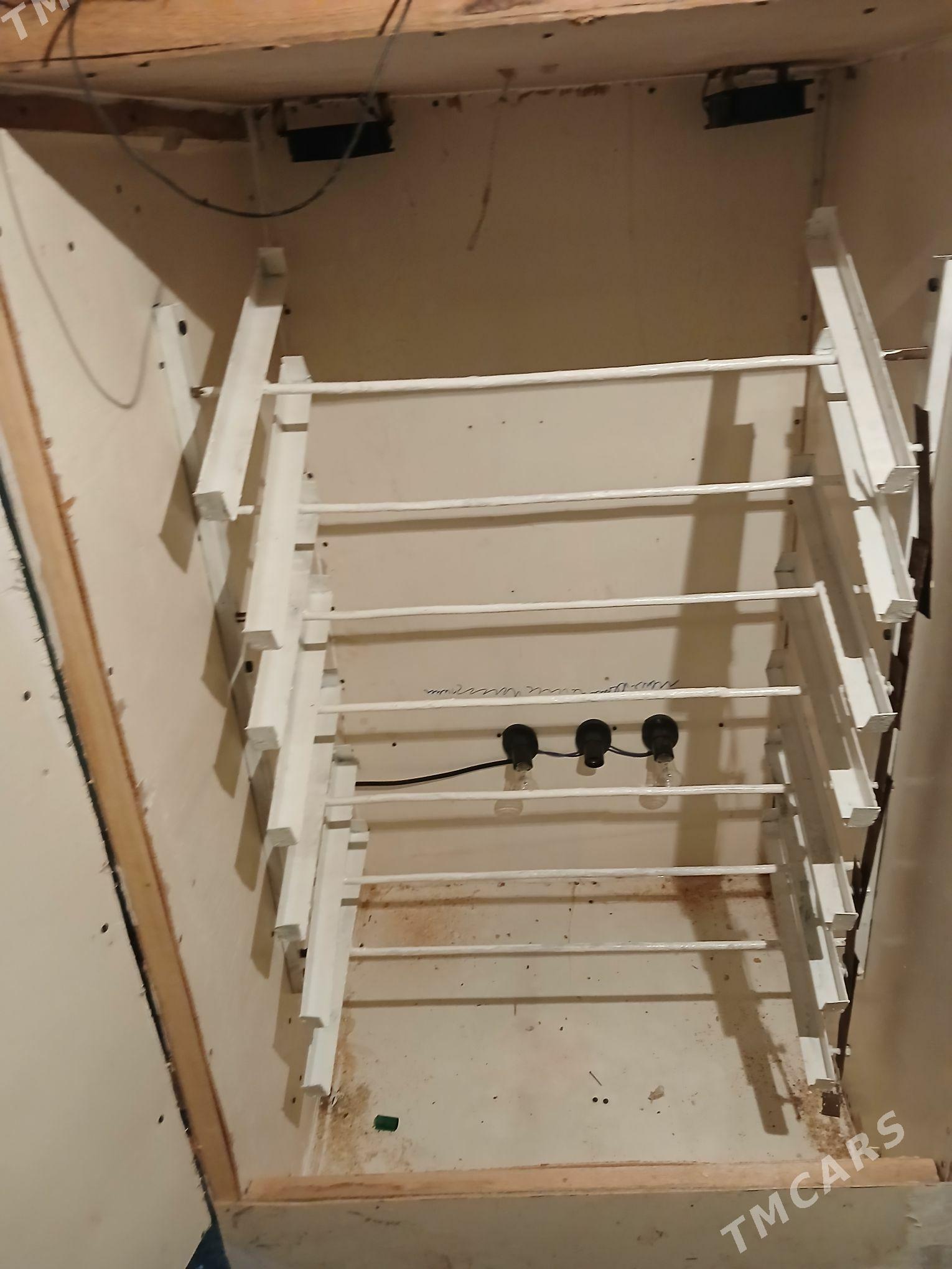 inkubator - Дашогуз - img 1