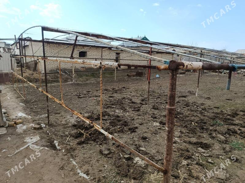 parnik - Мургап - img 1