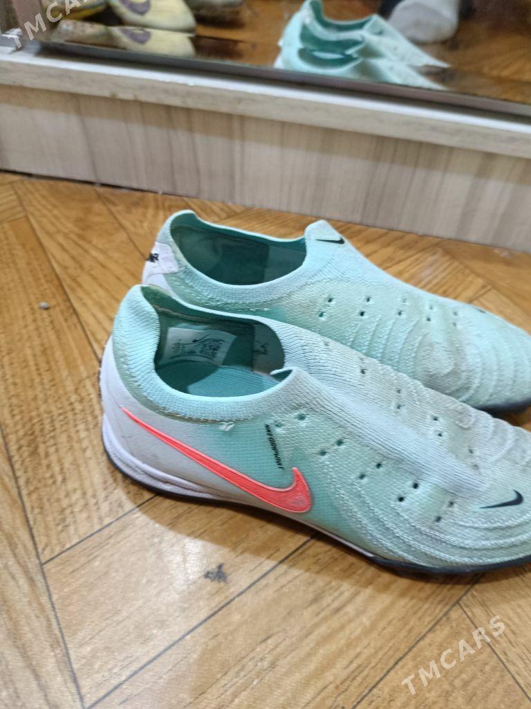 Сороконожки - Ашхабад - img 1