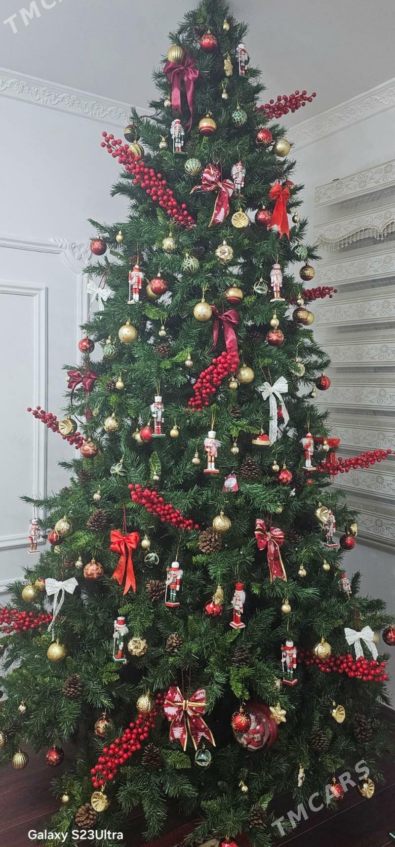 yolka 2.70 sm - Aşgabat - img 1