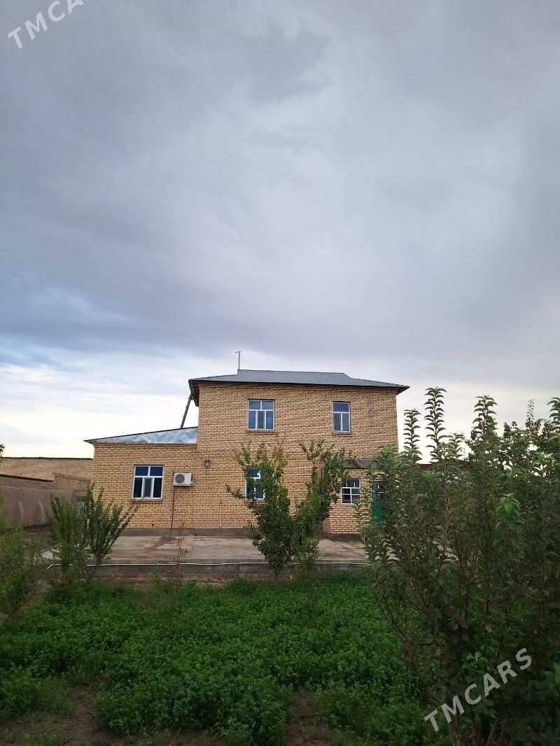 kottež - Кёнеургенч - img 1