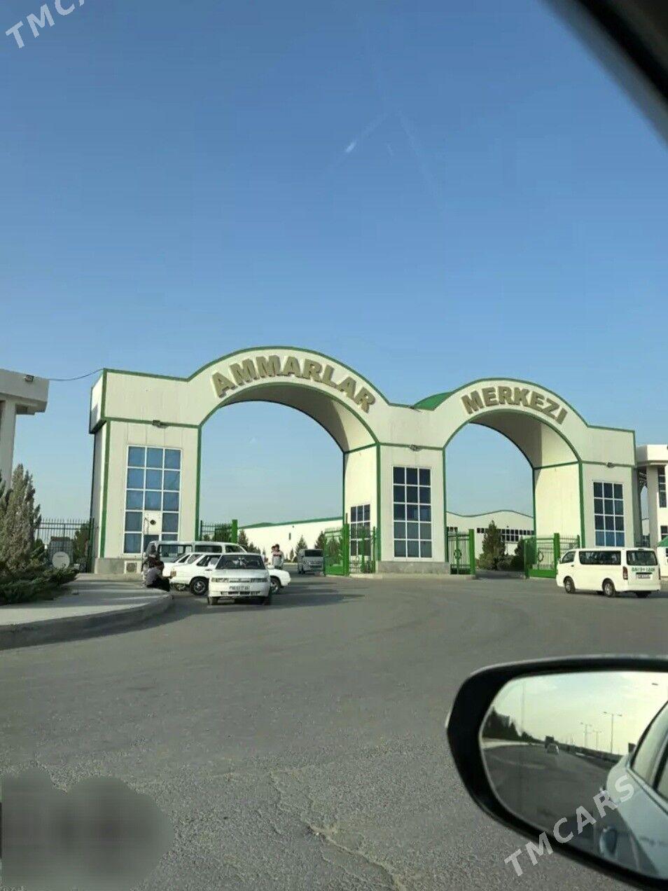 AMMARLAR TOPUMY ARENDA - Ak bugdaý etraby - img 1