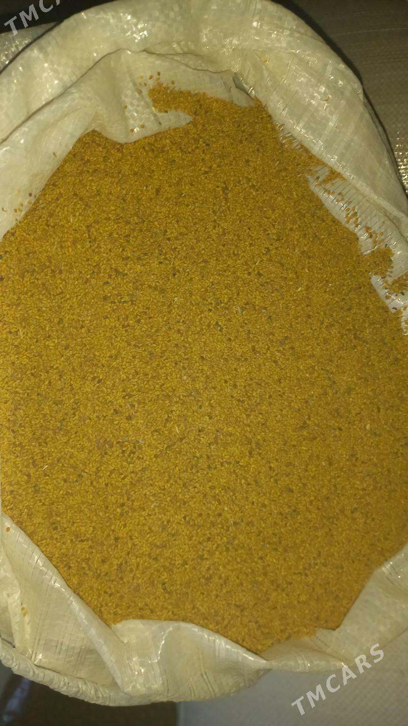 yorunja tohum - Бахарден - img 1