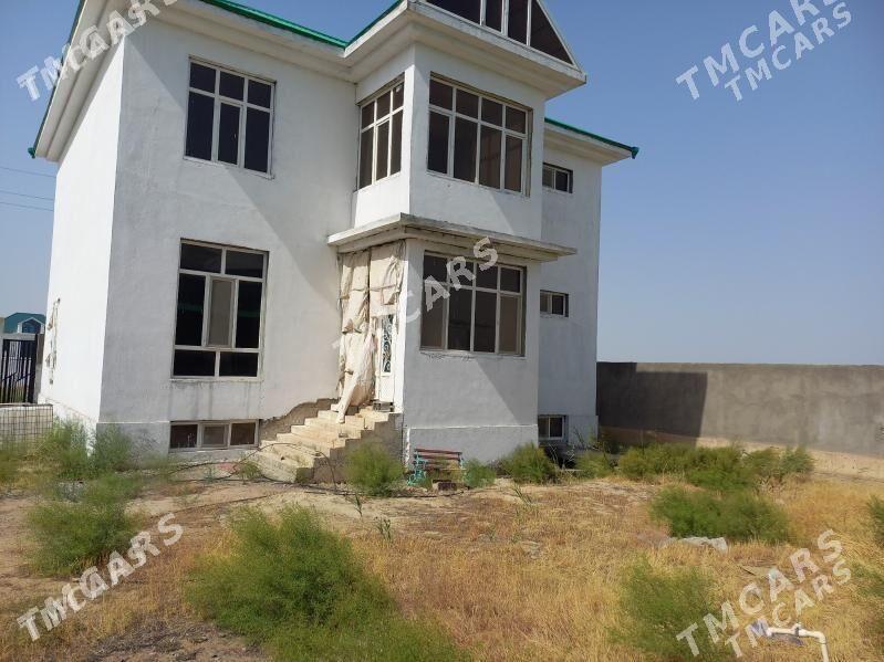 Anew kotej - Änew - img 1