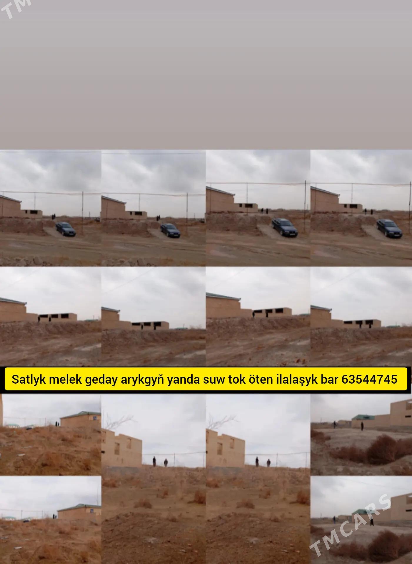 mellek - Türkmenabat - img 1