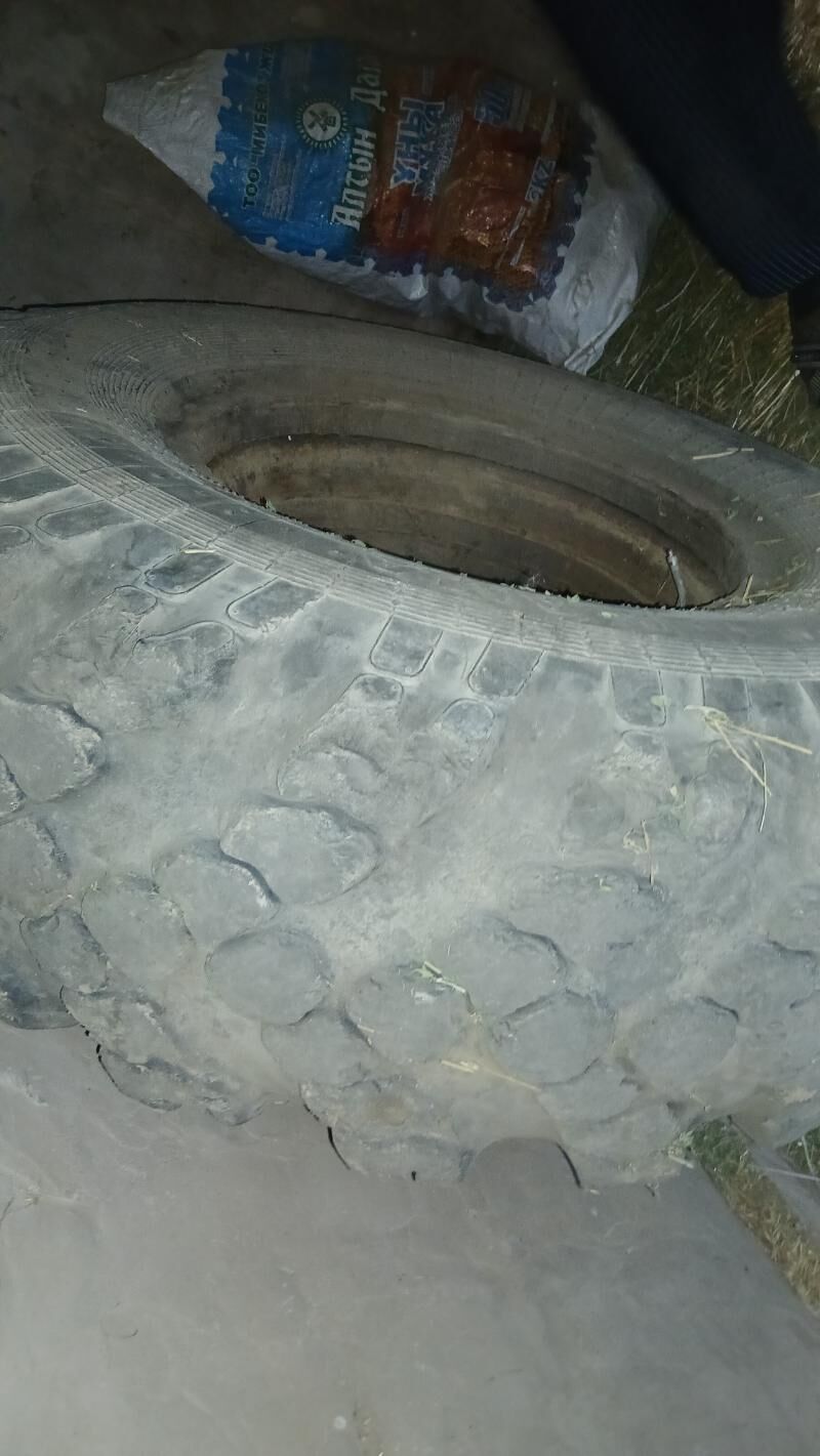 teker. 1 900 TMT - Ak bugdaý etraby - img 1