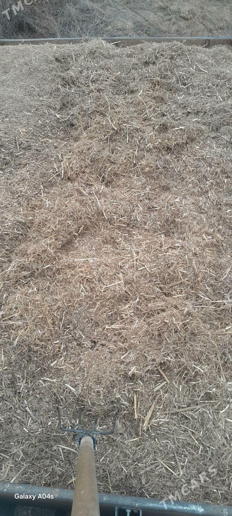 ýandak - Анев - img 1