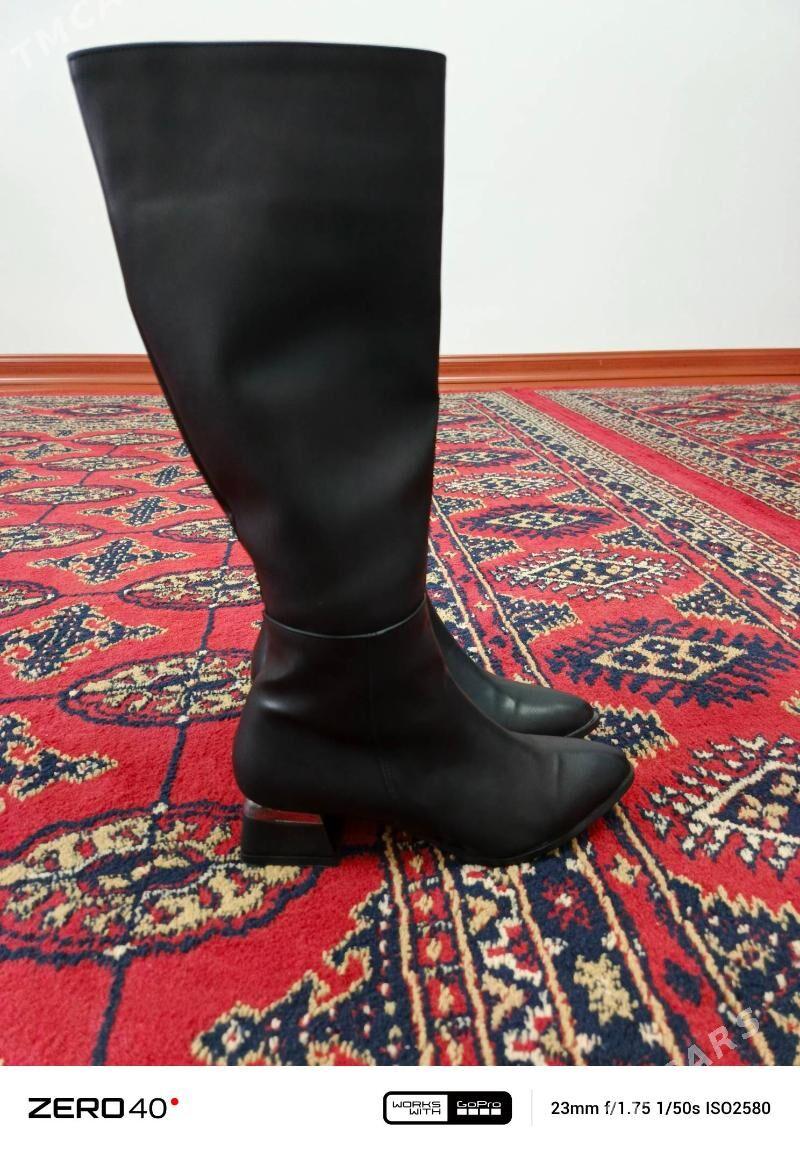 adikadik - Daşoguz - img 1