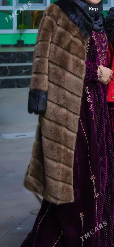 suba - Ýalkym - img 1