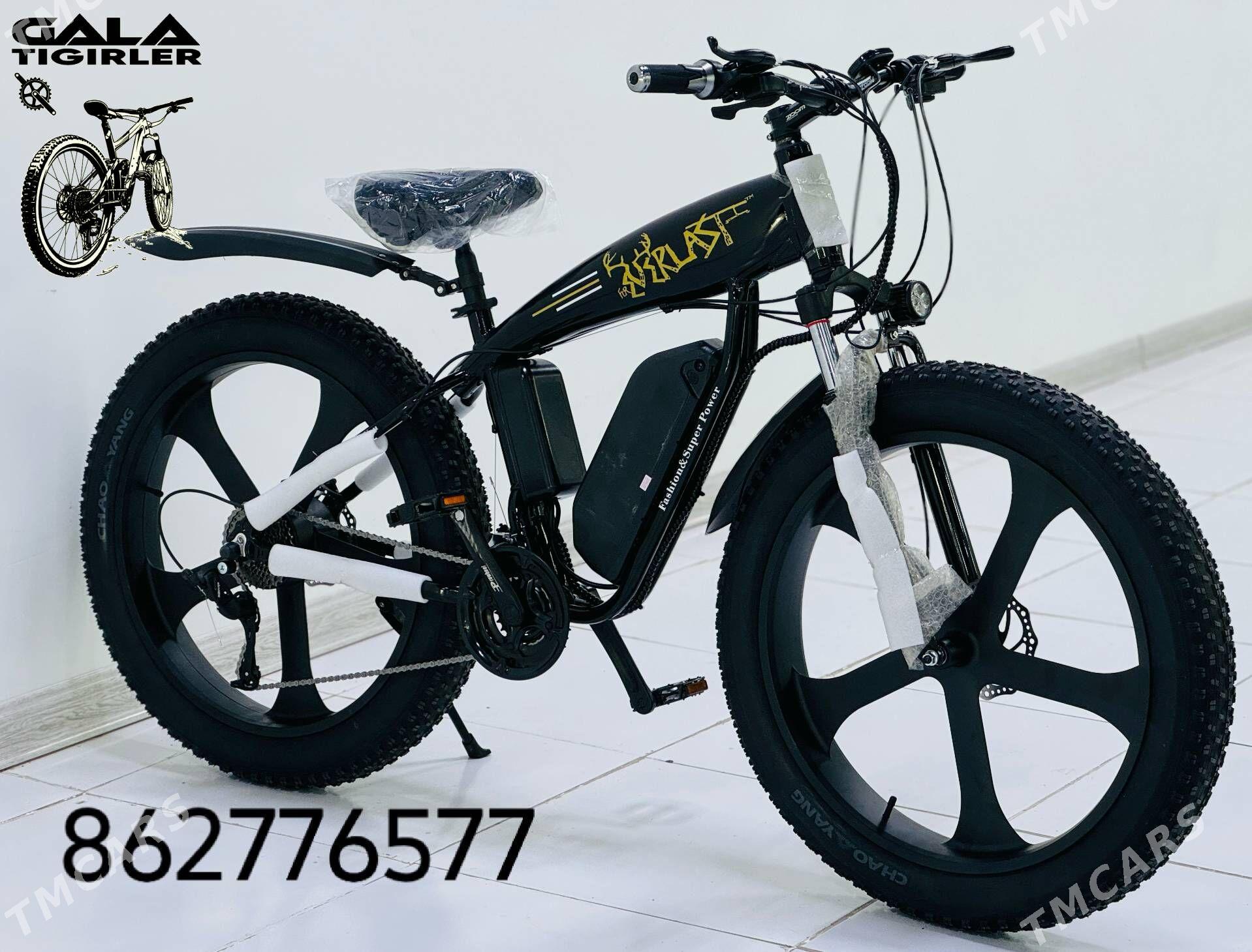 TOKLY TIGIR SAMAKAT MAGAZYN - Gurtly - img 1