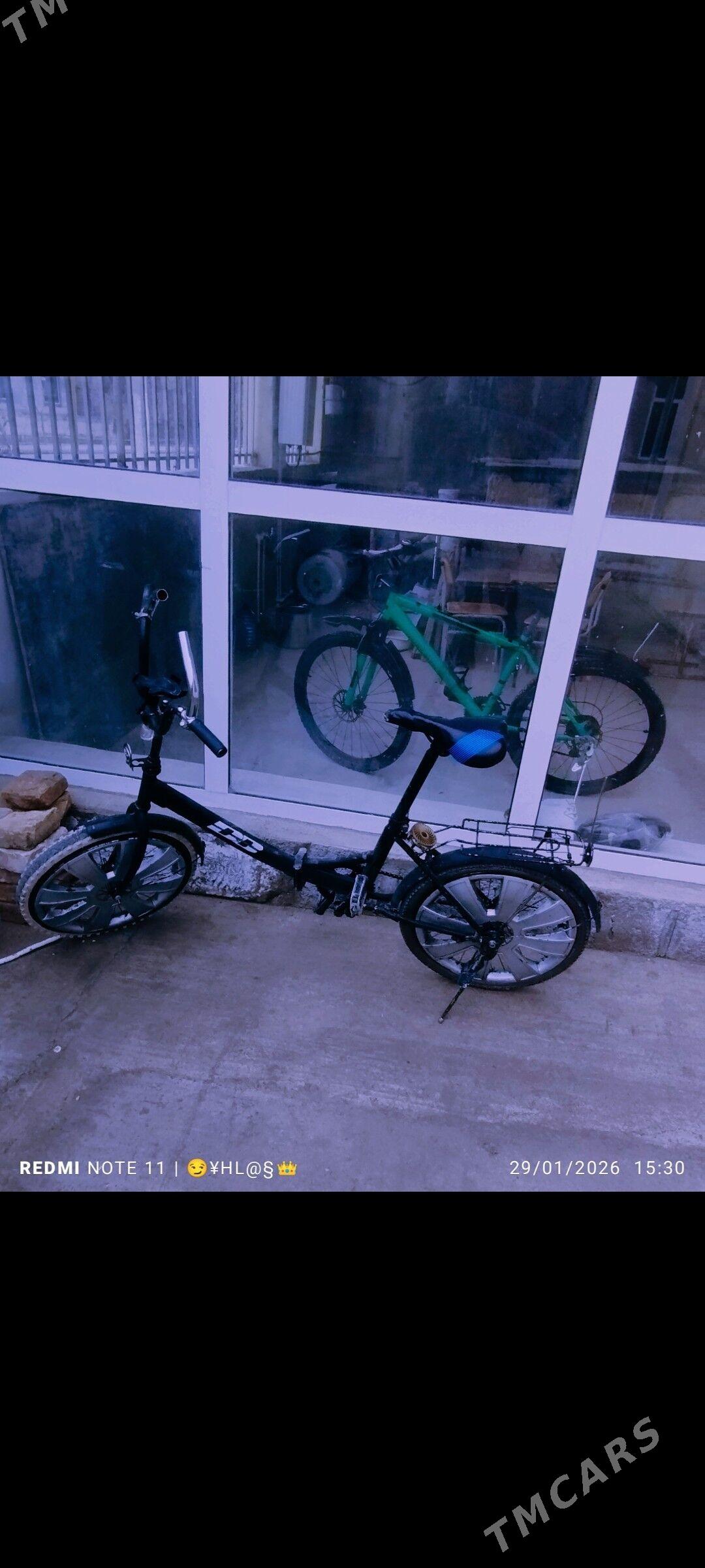 kama tigir - Gökje - img 1