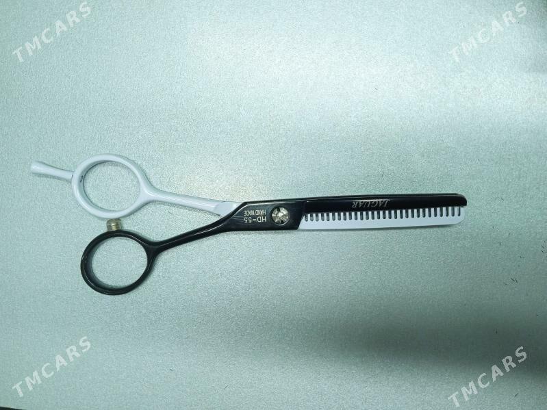 Gayçy filirofka - Balkanabat - img 1