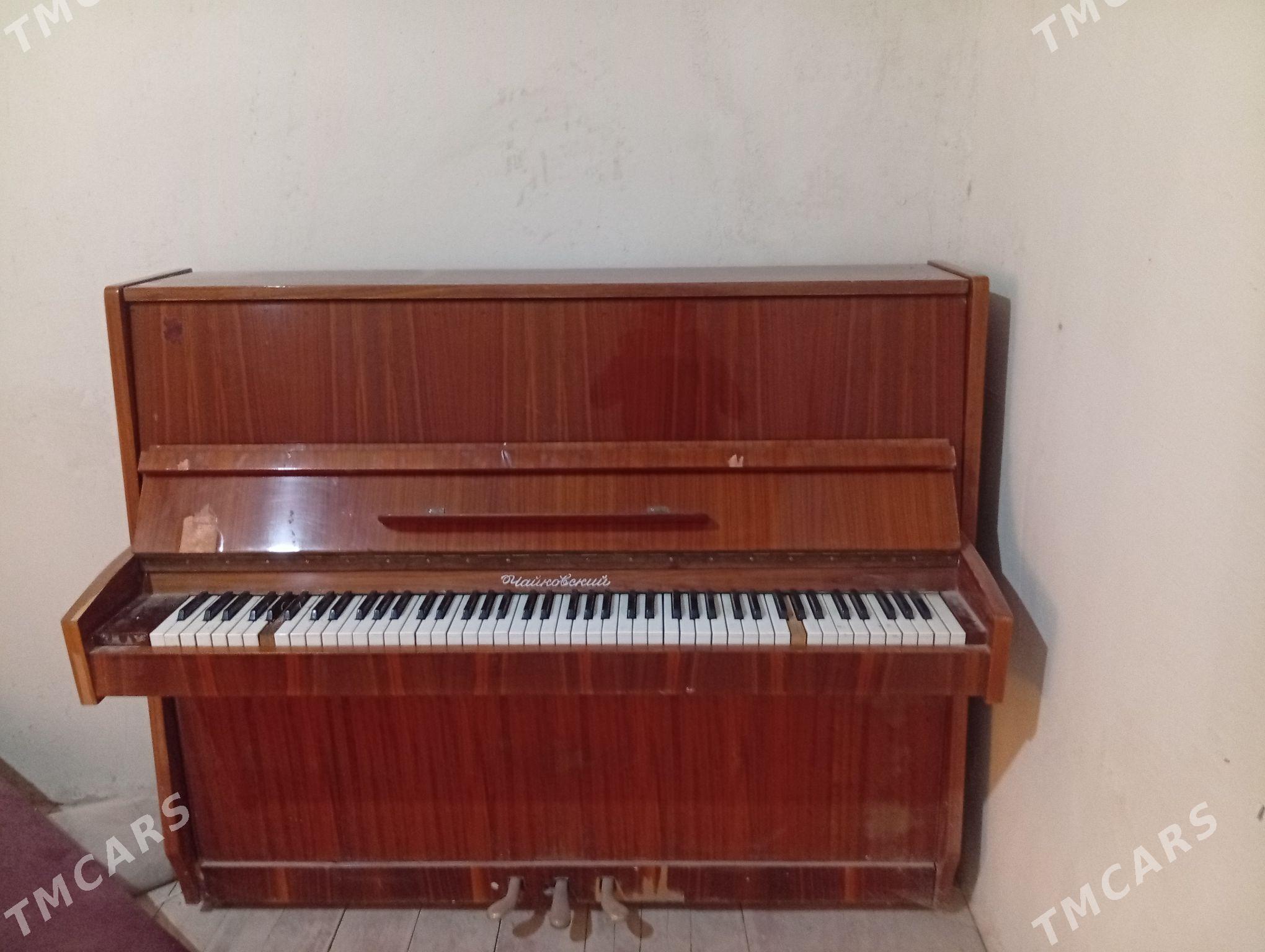 Piyonino - Daşoguz - img 1