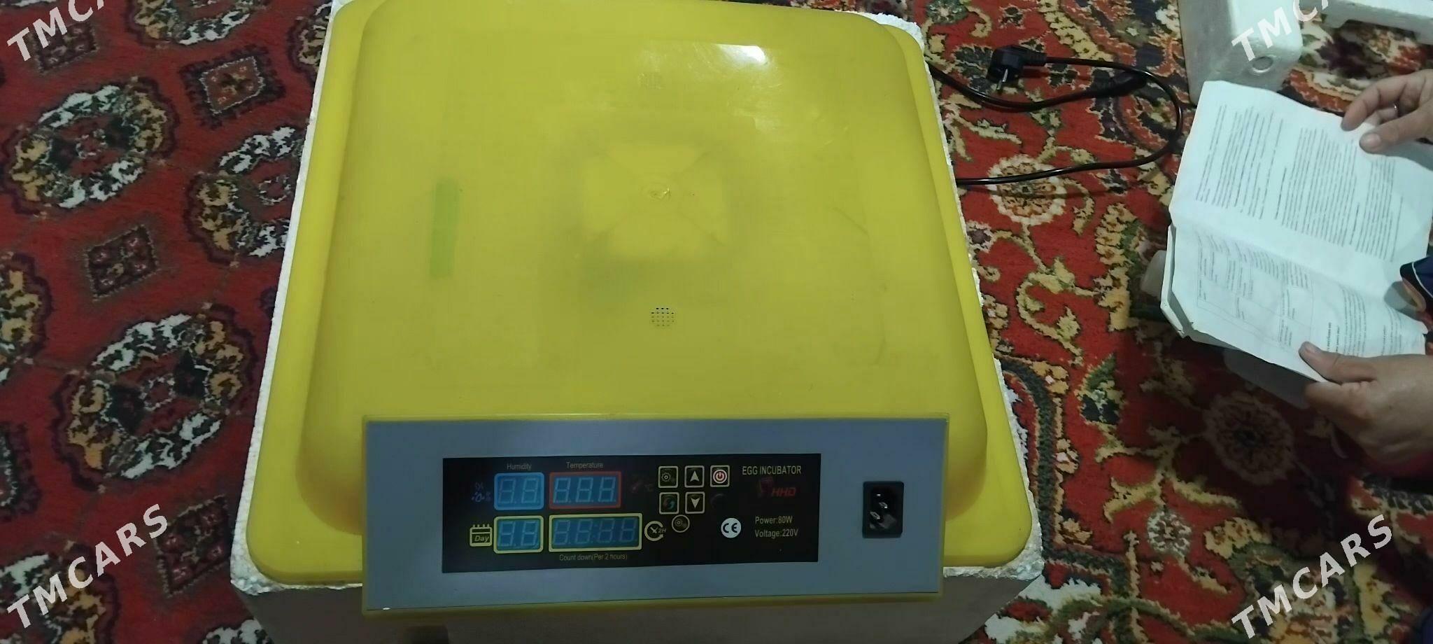 inkubator - Gurbansoltan Eje - img 1