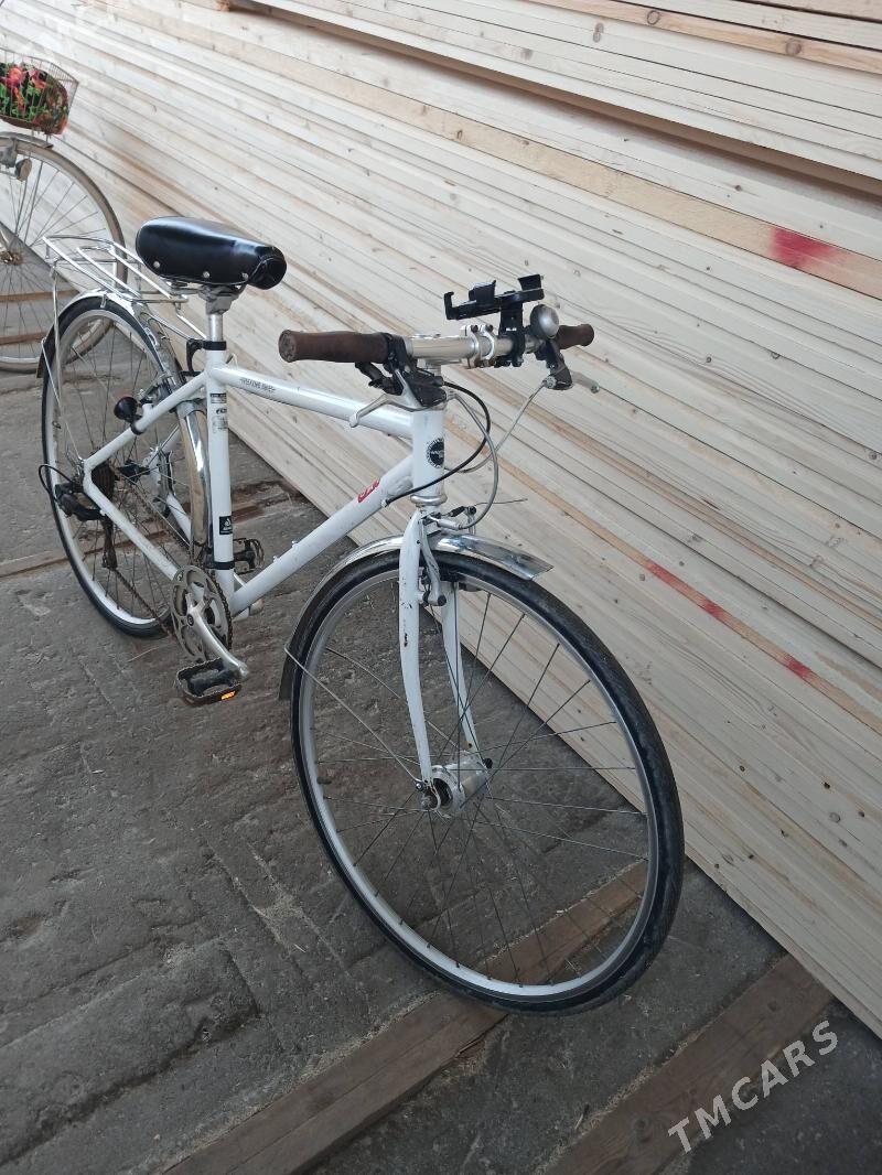 welik - Daşoguz - img 1