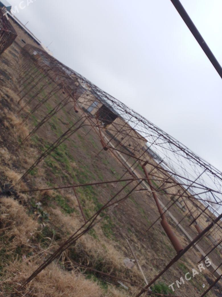 Teplisa. - Туркменабат - img 1