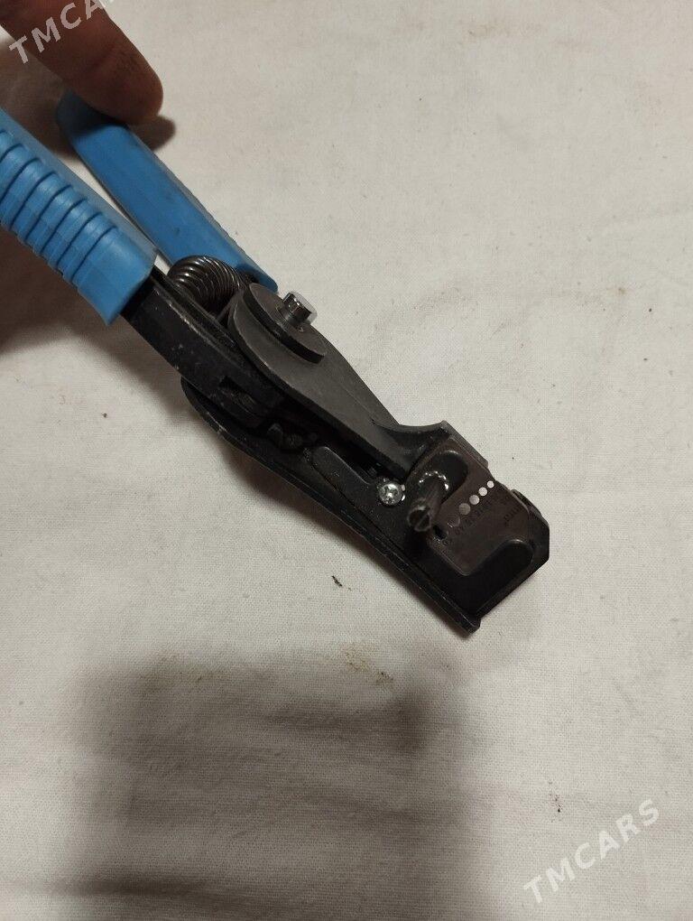 стриппер - Туркменбаши - img 1