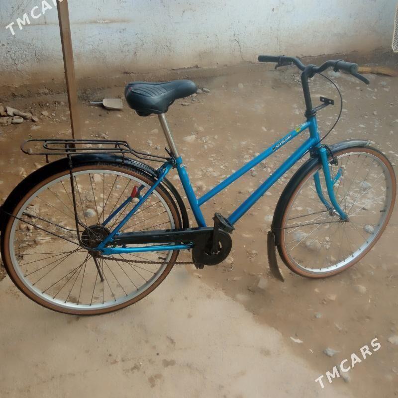 26 - Теджен - img 1