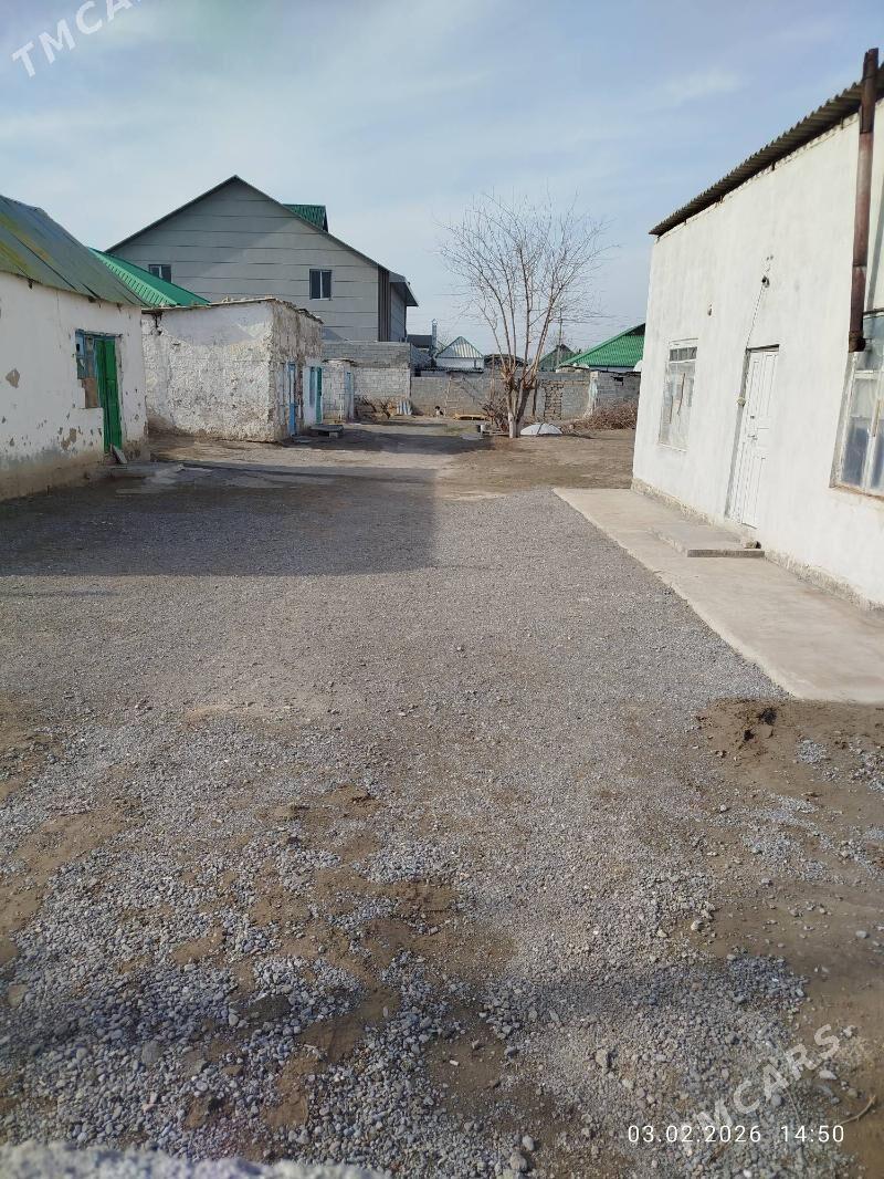 Bagyr - Ашхабад - img 1