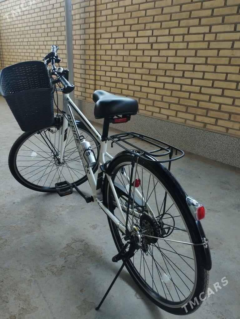 Welik - Mary - img 1