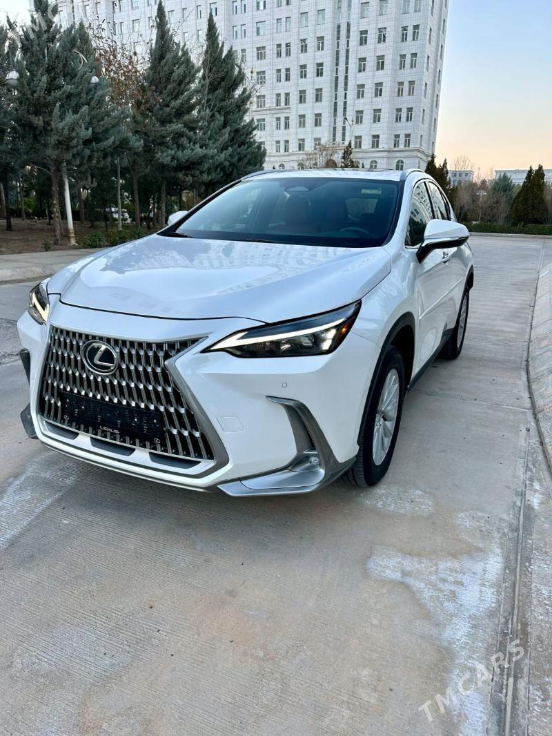 Lexus NX 250 2024 - 620 000 TMT - Балканабат - img 1