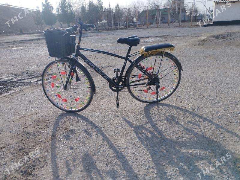 wolosepet - Wekilbazar - img 1