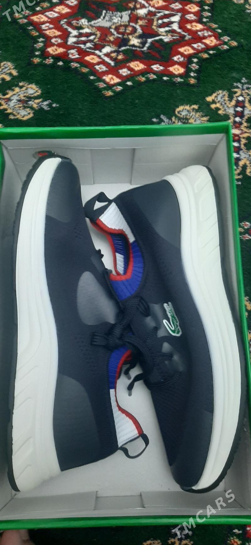 Lacoste krasowka - Aşgabat - img 1