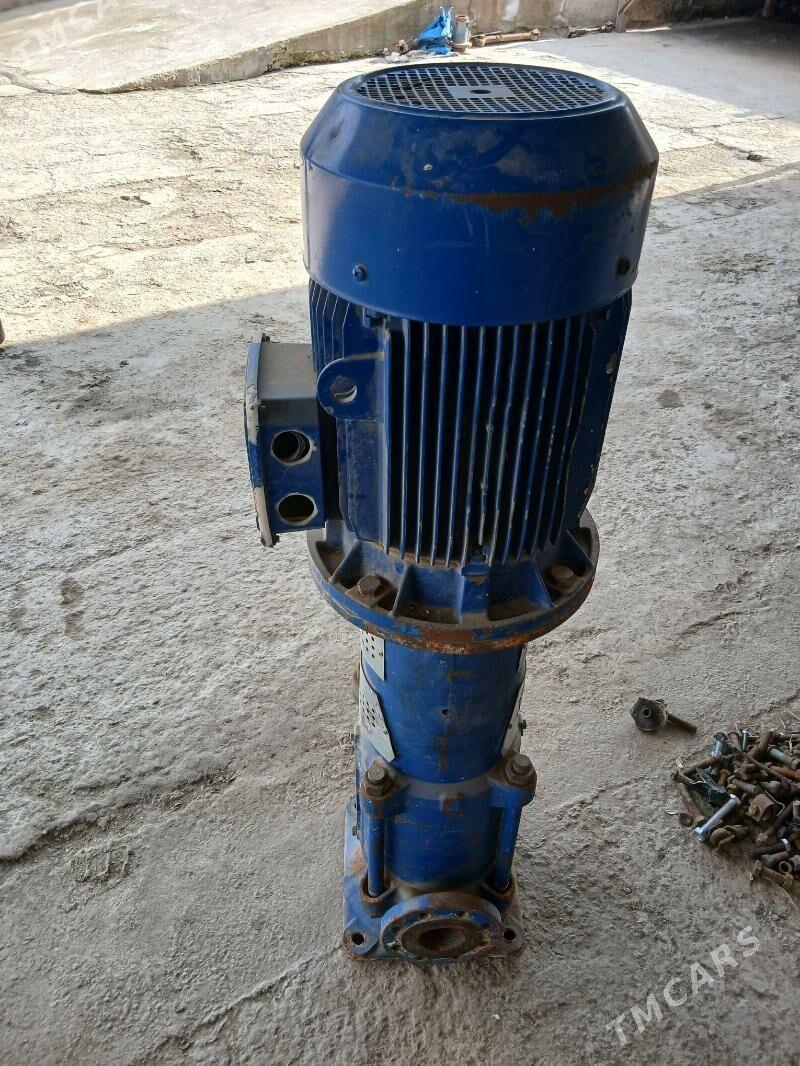 nasos - Bäherden - img 1