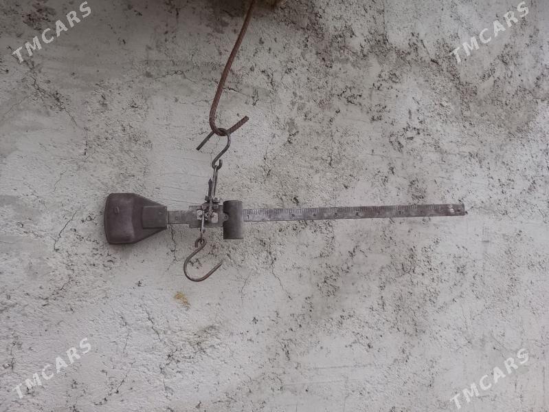 terezi - Берекет - img 1