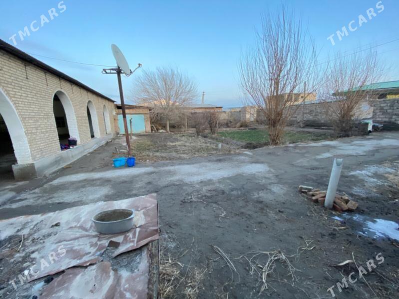 PLANLY JAY - Çärjew - img 1