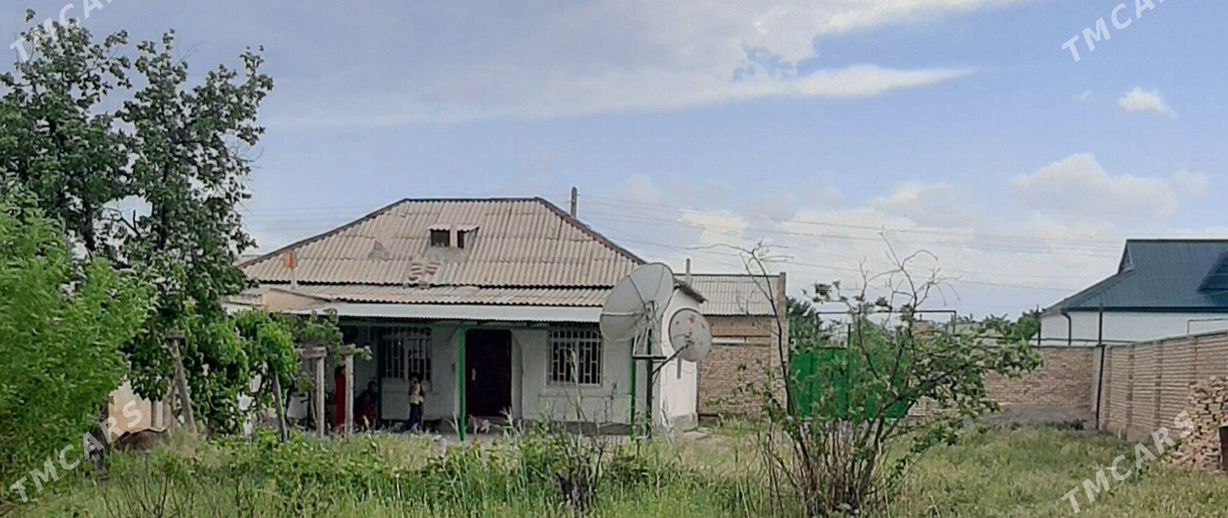 satlyk plon jay - Кака - img 1