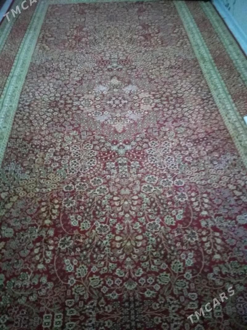 haly - Balkanabat - img 1