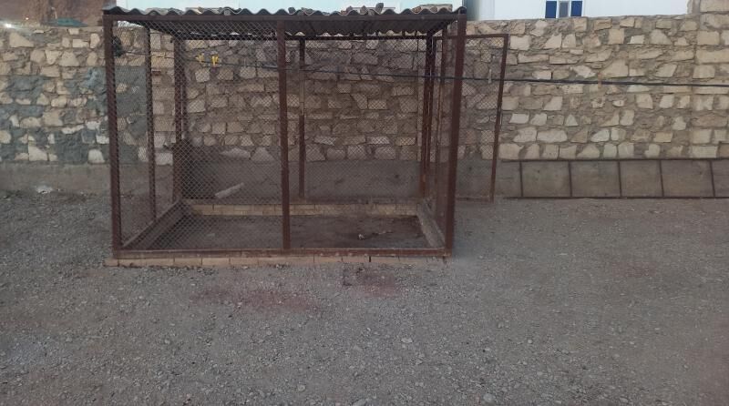 Towuk ketek - Балканабат - img 1