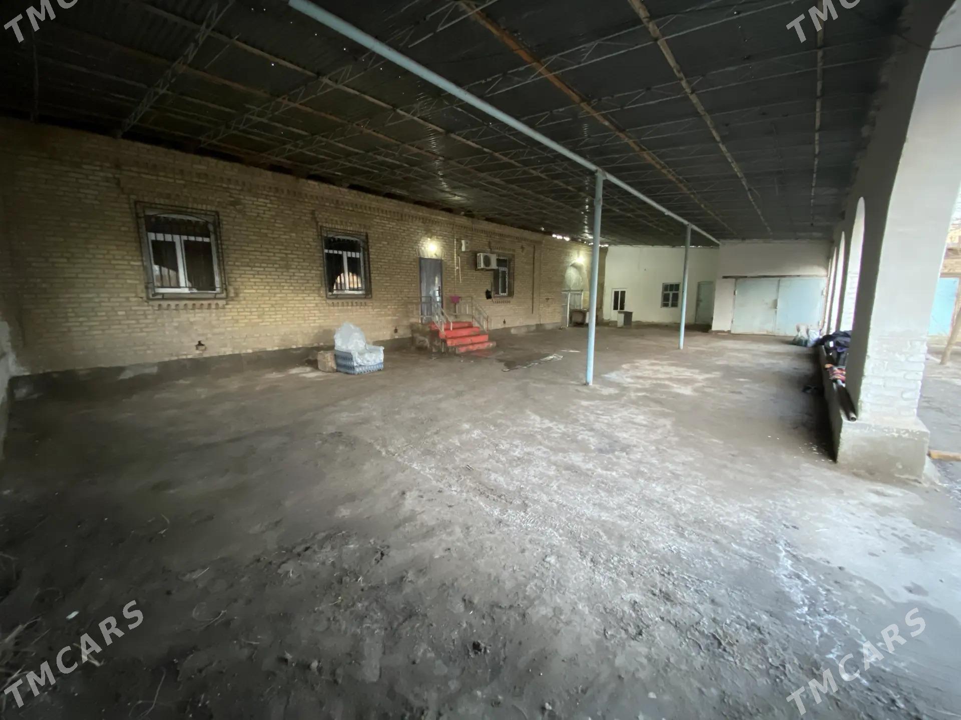 jay - Туркменабат - img 1