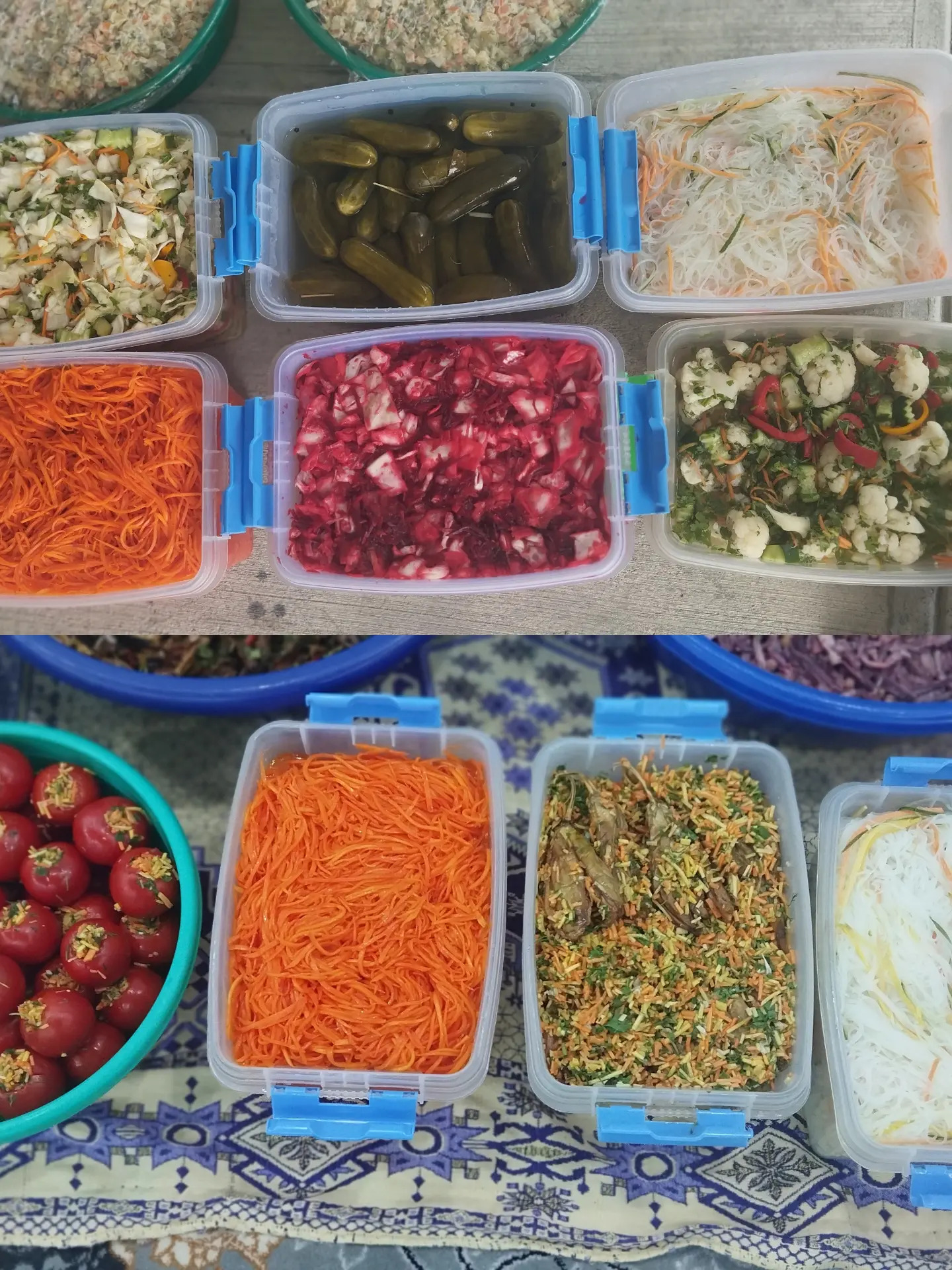 Salatdyr salyonnylar - Багир - img 1