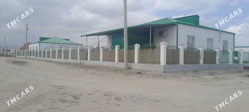 satlyk jaý taýyn - Ýaşlyk - img 1