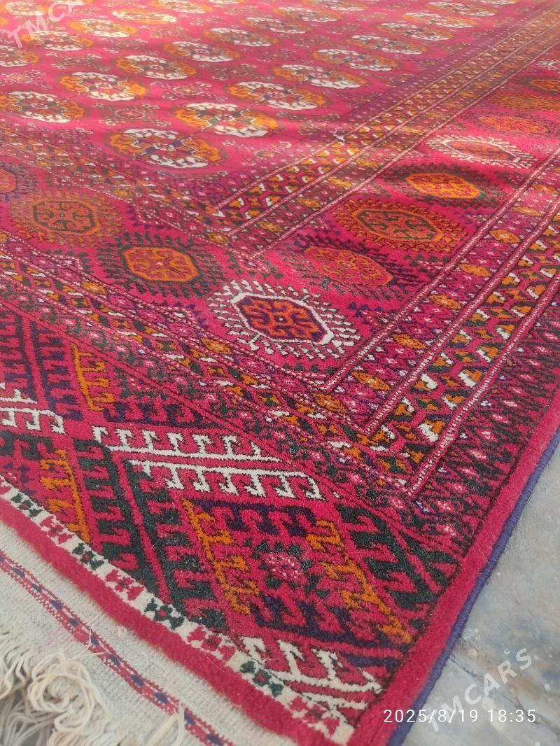 Türkmen haly - Bagyr - img 1